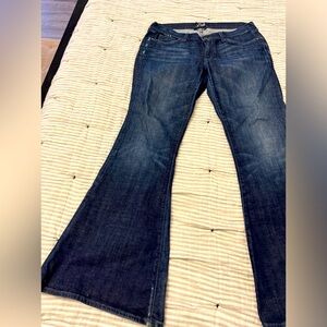 Circa 2011 Lucky Brand Zoe Flare Low Rise Jeans